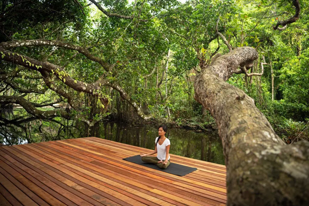 Barefoot luxury yoga in the natural surrounds of Wa Ale