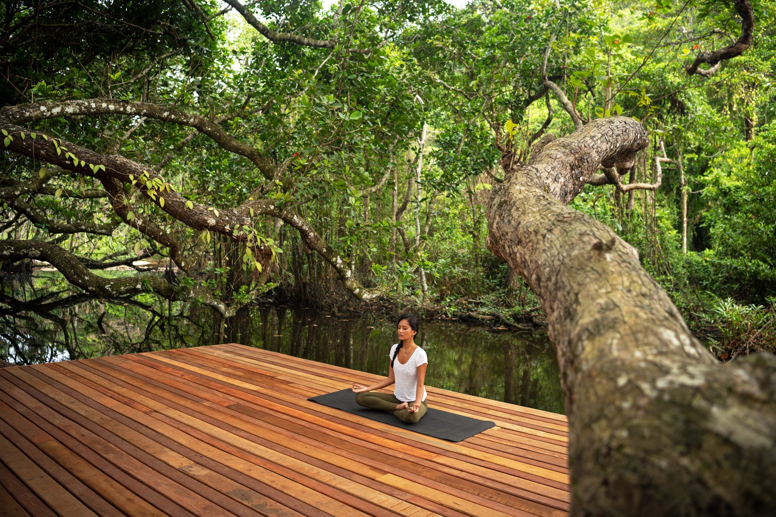 Wellness Retreat on a Private Island: Discover Rejuvenation at Wa Ale Resort